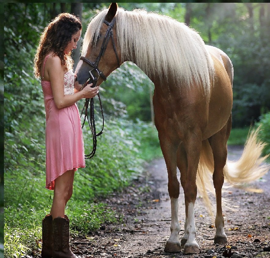 The Ultimate Podcasts for Your Horse Feeding Guide